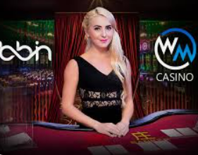 PG免费版模拟器正式版